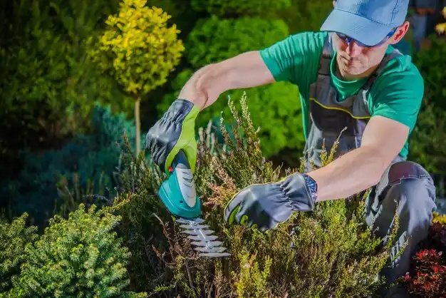 landscaping services Windham